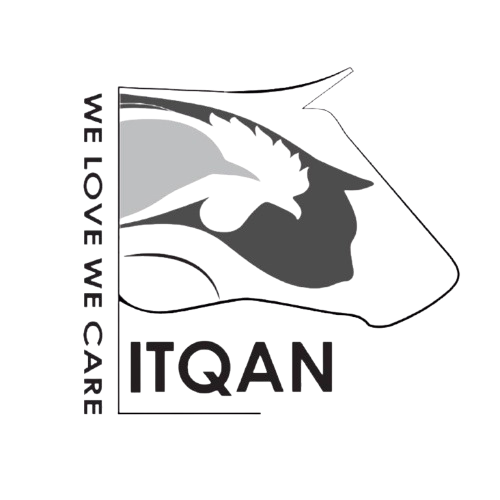 Vet Itqan